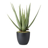 ARTIFICIAL PLANT ALOHE 60 - DECO FLOWER